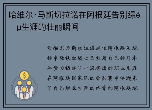哈维尔·马斯切拉诺在阿根廷告别绿茵生涯的壮丽瞬间 哈维尔·马斯切拉诺在阿根廷告别绿茵生涯的壮丽瞬间